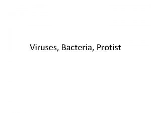 Viruses Bacteria Protist Viruses Structure Nucleic Acid Capsid