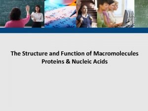 Structural proteins function