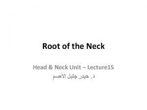 Where is the superior cervical ganglion located Where is the superior cervical ganglion located
