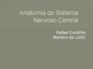 Cerebelo anatomia
