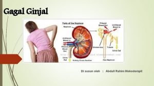Gagal Ginjal Di susun oleh Abdull Rahim Mokodompit