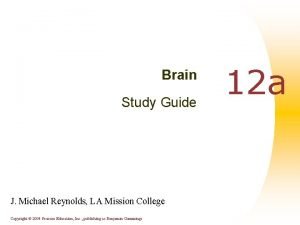 Brain Study Guide J Michael Reynolds LA Mission