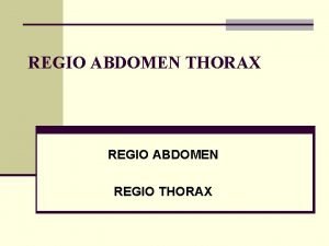 Regio abdomen