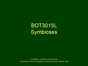 BOT 3015 L Symbioses Presentation created by Danielle