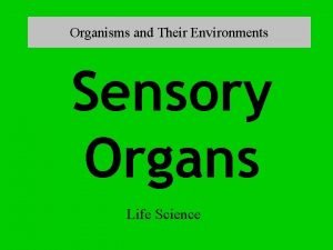 Organisms and Their Environments Sensory Organs Life Science