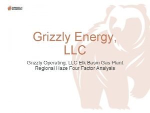 Grizzly energy llc