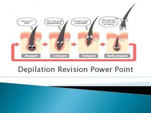 Depilation Revision Power Point The Hair growth cycle