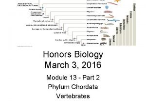 Honors Biology March 3 2016 Module 13 Part