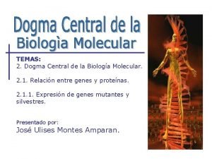 TEMAS 2 Dogma Central de la Biologa Molecular