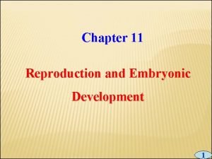 Chapter 11 Reproduction and Embryonic Development 1 ASEXUAL