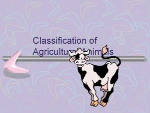 Classification of Agricultural Animals Organisms Identified grouped and