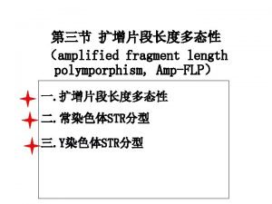 Tel 0871 65922837 13769175605 Email bingyingxu126 com amplified