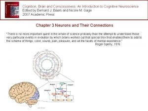 Cognition Brain and Consciousness An Introduction to Cognitive