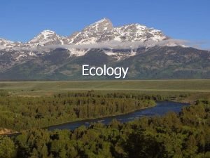 Ecology The environment is every living and nonliving