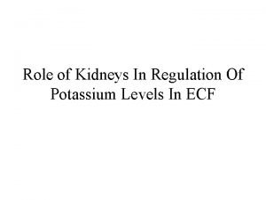 Role of Kidneys In Regulation Of Potassium Levels