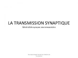 LA TRANSMISSION SYNAPTIQUE Gnralitssynapse neuromusculaire Neurophysiologie Facult de