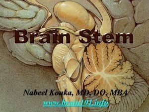 Nabeel Kouka MD DO MBA www brain 101