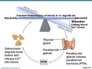 Homeostasis blood calcium level (about 10 mg/100ml)