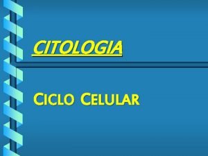 CITOLOGIA CICLO CELULAR CICLO CELULAR b O ciclo