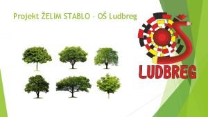 Projekt ELIM STABLO O Ludbreg U projekt elim