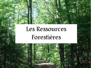 Les Ressources Forestires Faits intressants Le Canada a