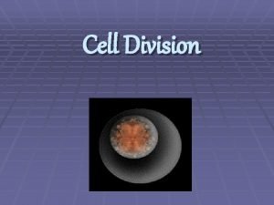 Cell Division Meiosis Important Vocabulary Diploid contains 2