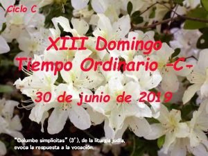 Ciclo C XIII Domingo Tiempo Ordinario C 30