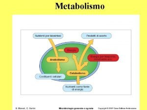 Metabolismo Processo mediante il quale i microrganismi assumono