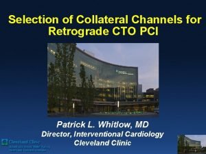 Selection of Collateral Channels for Retrograde CTO PCI