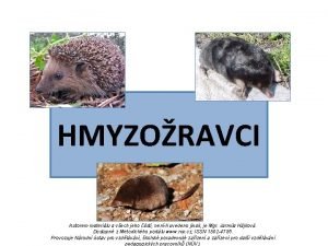 čím se živí rejsek