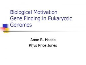 Biological Motivation Gene Finding in Eukaryotic Genomes Anne