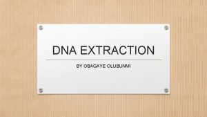 DNA EXTRACTION BY OBAGAYE OLUBUNMI Deoxyribonucleic acid DNA