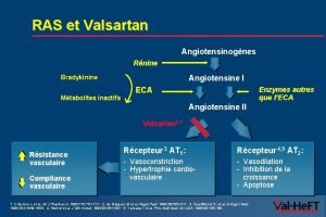 RAS et Valsartan Angiotensinognes Rnine Angiotensine I Bradykinine