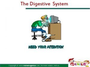 Www.makemegenius.com digestive system