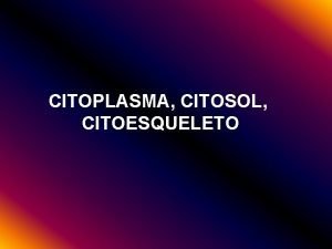 CITOPLASMA CITOSOL CITOESQUELETO Citoplasma estructuras membranosas citosol Estructuras