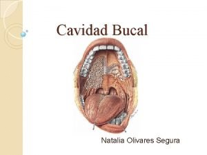 Cavidad oral