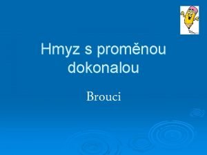 Hmyz s promnou dokonalou Brouci asi 350 tisc