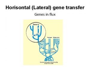 Horisontal Lateral gene transfer Genes in flux Mechanisms