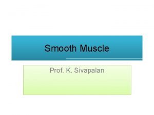 Smooth Muscle Prof K Sivapalan Smooth Muscle Found
