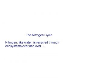 The Nitrogen Cycle Nitrogen like water is recycled