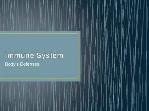 Immune System Bodys Defenses Immune Responses Passive Formation