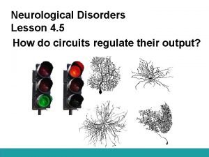 Neurological Disorders Lesson 4 5 How do circuits