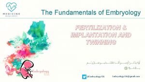 The Fundamentals of Embryology FERTILIZATION IMPLANTATION AND TWINNING