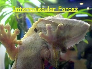 Intermolecular Forces Relative Magnitudes of Forces The types