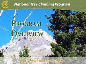 To ensure the safety of USFS tree climbers