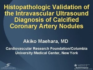 Histopathologic Validation of the Intravascular Ultrasound Diagnosis of
