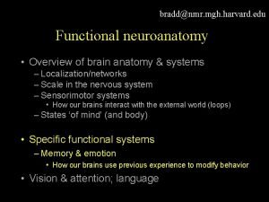 braddnmr mgh harvard edu Functional neuroanatomy Overview of