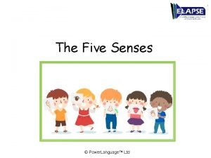 7 senses of the body