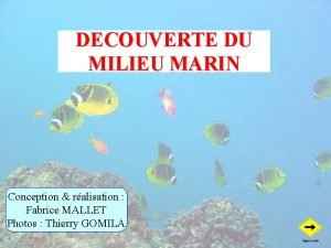 DECOUVERTE DU MILIEU MARIN Conception ralisation Fabrice MALLET