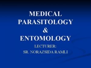 MEDICAL PARASITOLOGY ENTOMOLOGY LECTURER SR NORAZSIDA RAMLI Intestinal